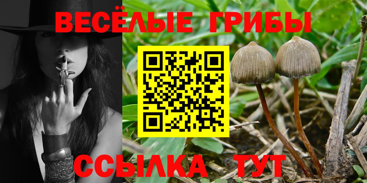 Псилоцибиновые грибы Magic Shrooms  Вход с VPN  Шелехов 